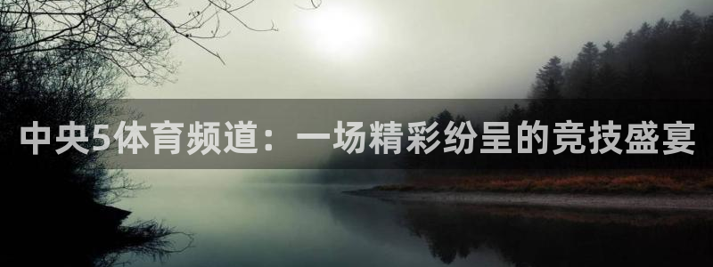 鲸鱼体育直播官网：中央5体育频道：一场精彩纷呈的竞技盛宴