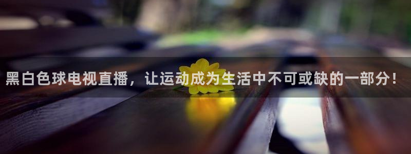 鲸鱼体育nba直播：黑白色球电视直播，让运动成为生活中不可或缺的一部分！