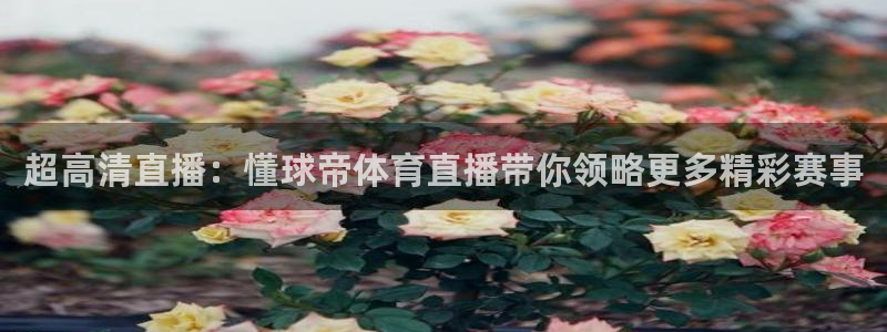 鲸鱼体育nba68.tv：超高清直播：懂球帝体育直播带你领略更多精彩赛事
