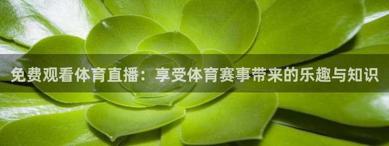 鲸鱼体育tv版下载：免费观看体育直播：享受体育赛事带来的乐趣与知识
