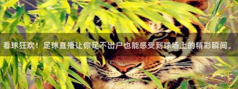 下载鲸鱼体育直播