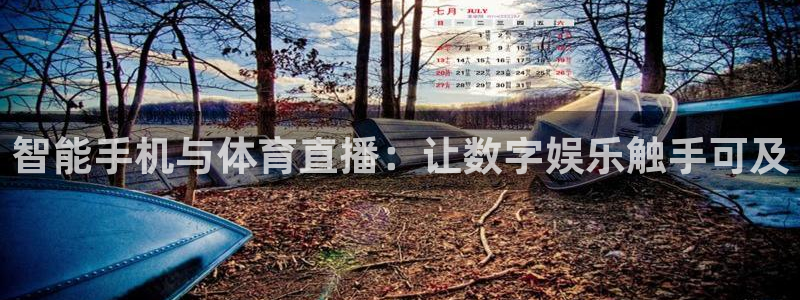 jytv01鲸鱼体育直播：智能手机与体育直播：让数字娱乐触手可及