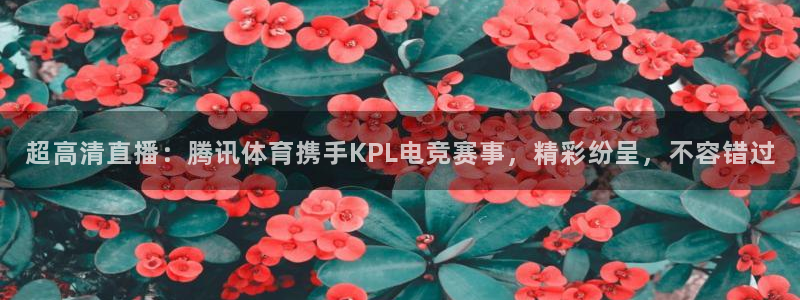 鲸鱼体育tv在线观看