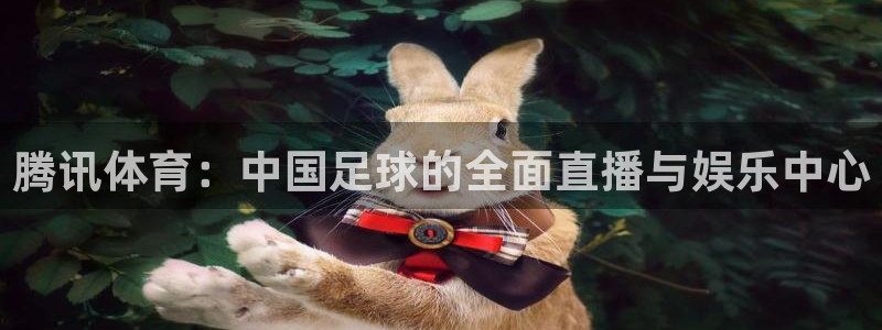 鲸鱼体育tv.点我直达.org
