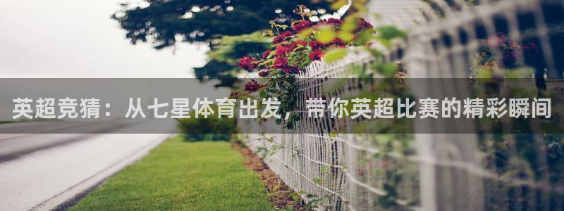 下载鲸鱼体育直播：英超竞猜：从七星体育出发，带你英超比赛的精彩瞬间