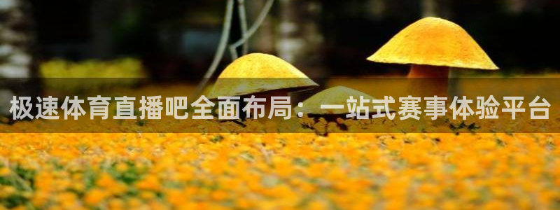 鲸鱼体育直播下载：极速体育直播吧全面布局：一站式赛事体验平台