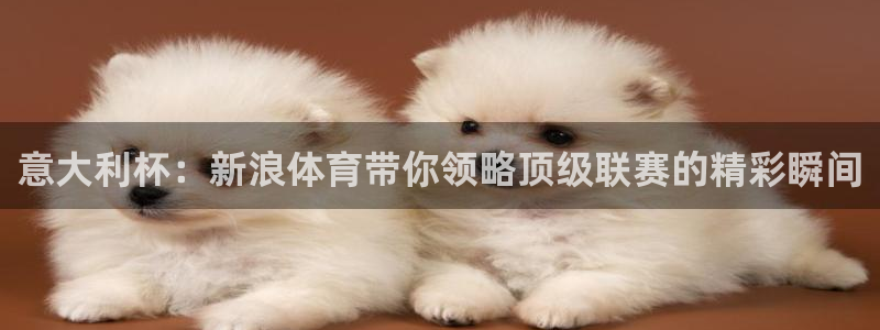 鲸鱼体育app官方下载最新版：意大利杯：新浪体育带你领略顶级联赛的精彩瞬间