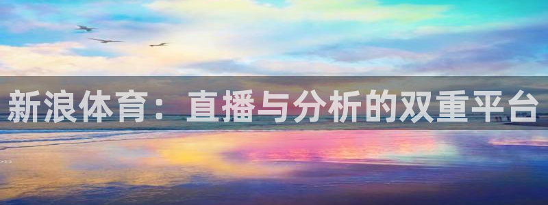 鲸鱼体育tv：新浪体育：直播与分析的双重平台