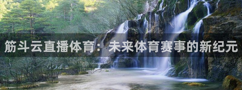 鲸鱼体育直播在线观看：筋斗云直播体育：未来体育赛事的新纪元