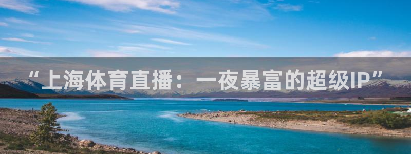 cc68tv鲸鱼体育：“上海体育直播：一夜暴富的超级IP”