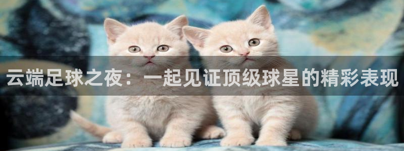 鲸鱼体育免费观看入口：云端足球之夜：一起见证顶级球星的精彩表现